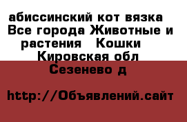 абиссинский кот вязка - Все города Животные и растения » Кошки   . Кировская обл.,Сезенево д.